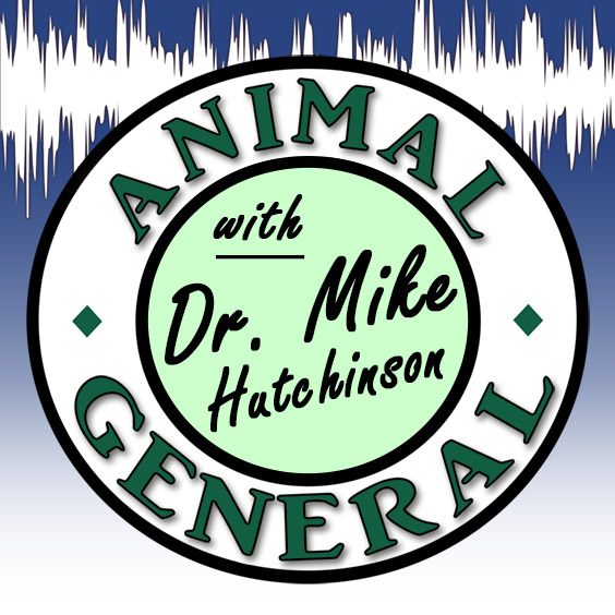 Podcast Logo